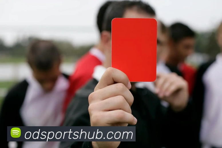 OD体育平台生态图