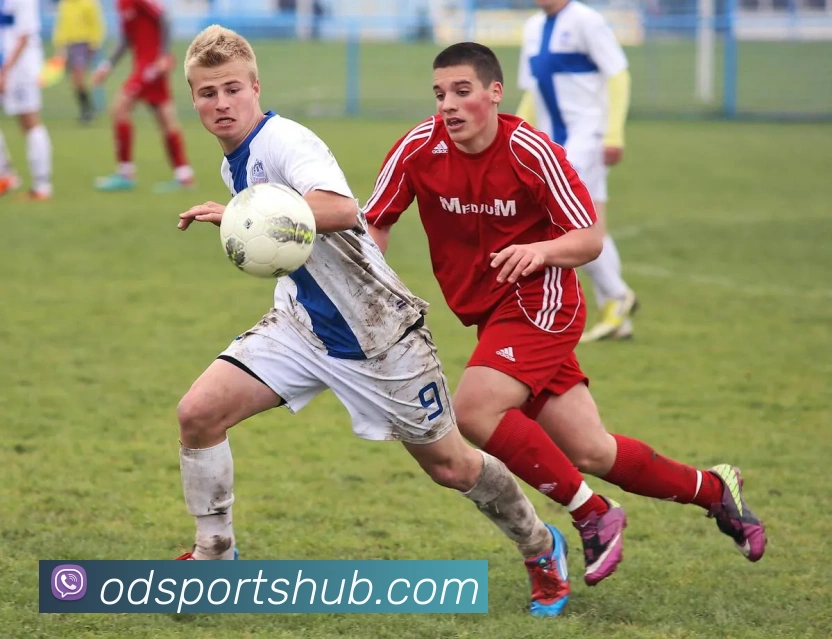 OD体育APP 封面图